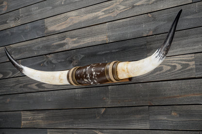 4' 10" Longhorn Wall Mount #360