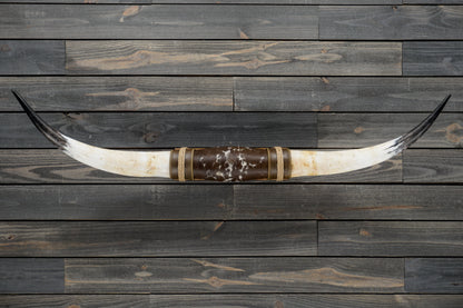 4' 10" Longhorn Wall Mount #360