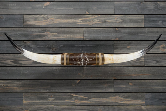 4' 10" Longhorn Wall Mount #360