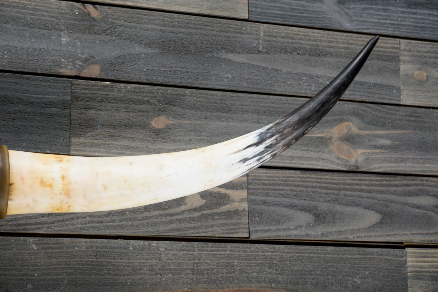 4' 10" Longhorn Wall Mount #360