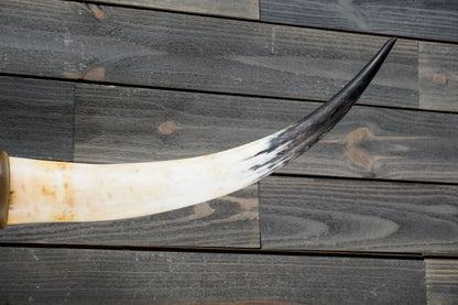 4' 10" Longhorn Wall Mount #360