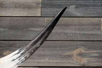 4' 10" Longhorn Wall Mount #360