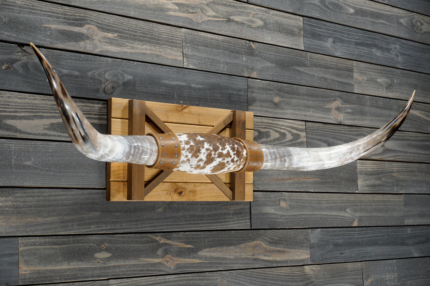 5' 0" Longhorn Wall Mount #363