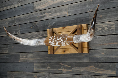 5' 0" Longhorn Wall Mount #363
