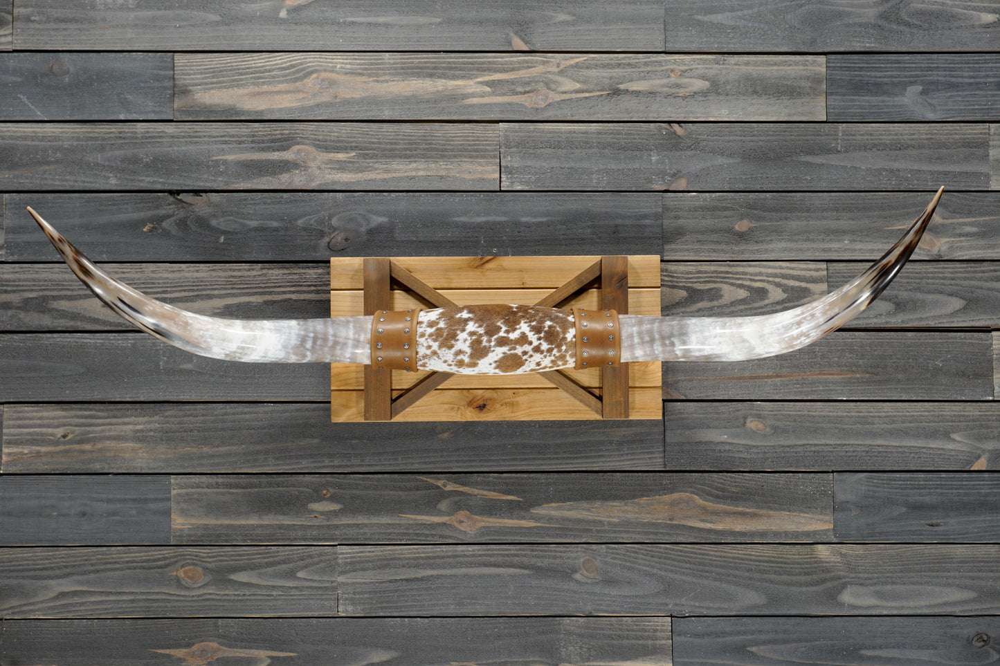 5' 0" Longhorn Wall Mount #363