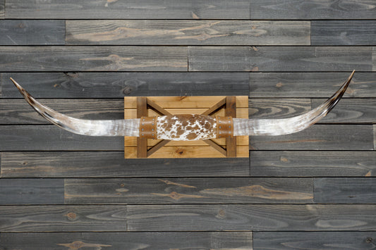 5' 0" Longhorn Wall Mount #363