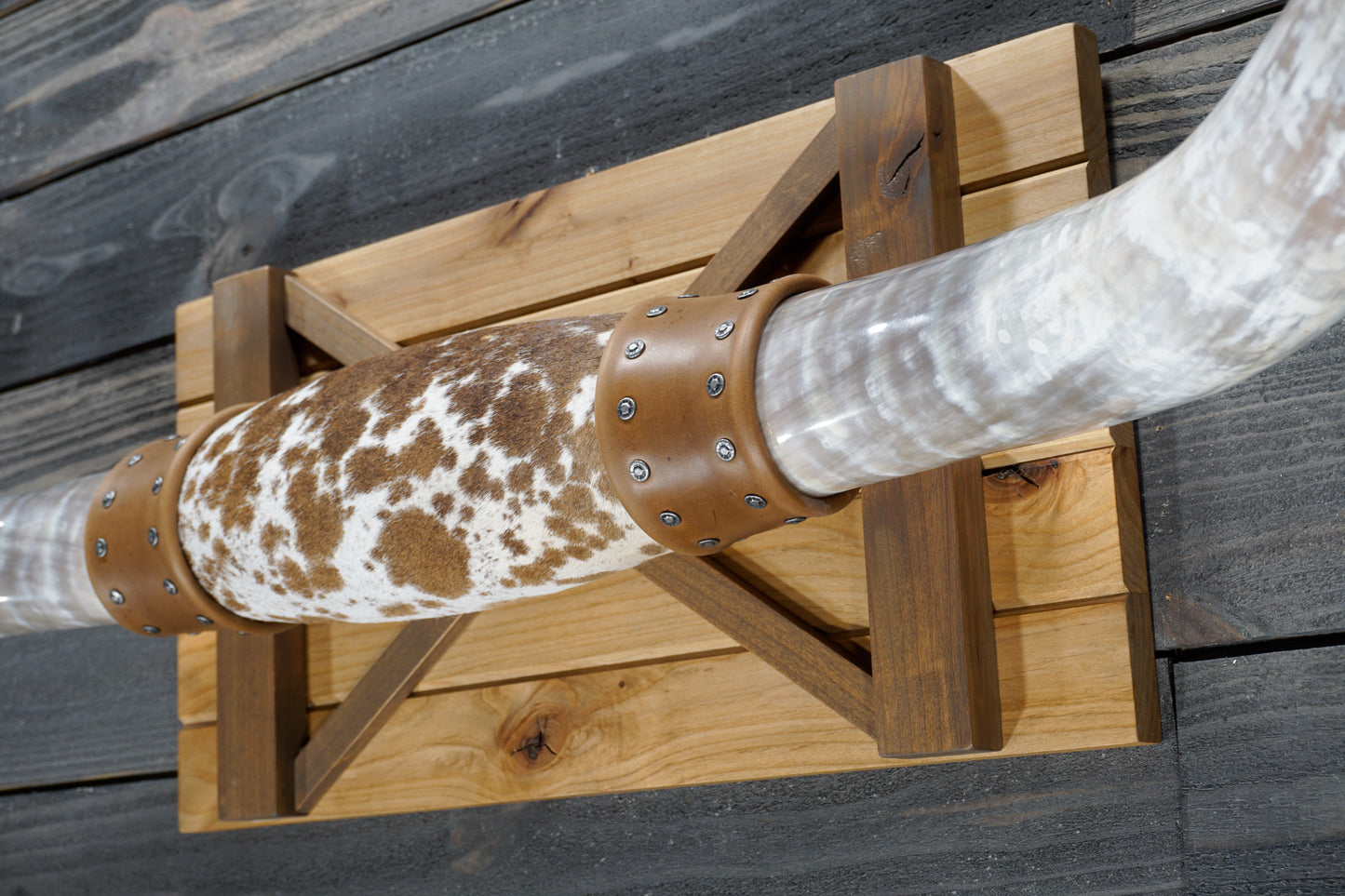 5' 0" Longhorn Wall Mount #363