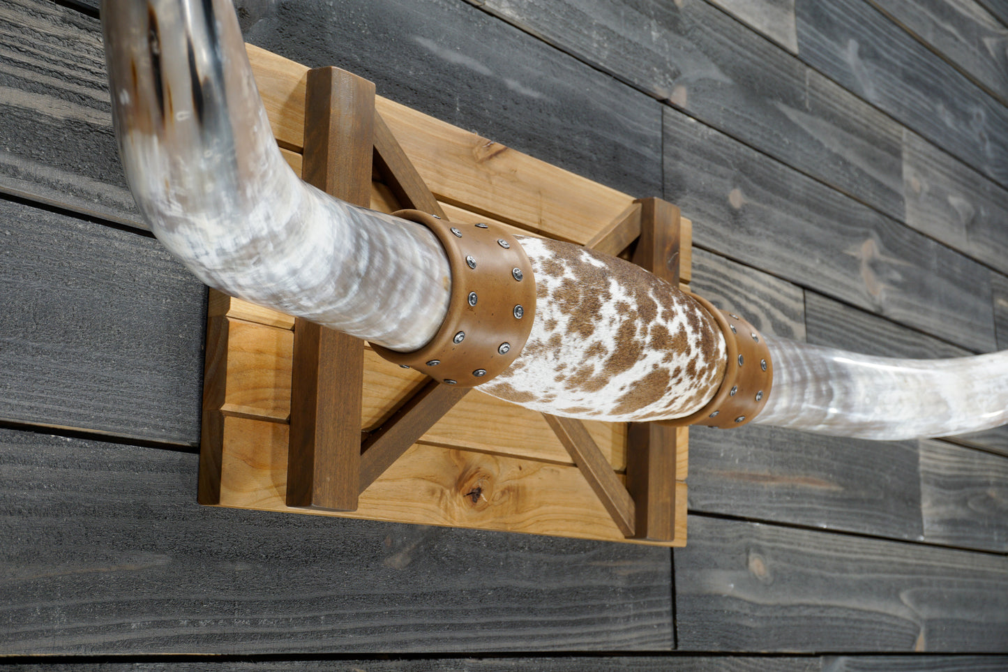 5' 0" Longhorn Wall Mount #363