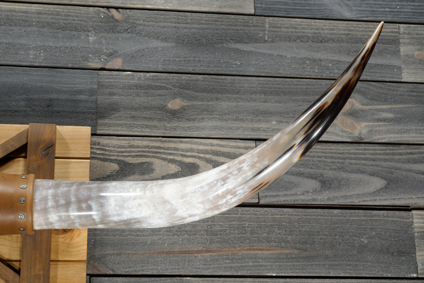 5' 0" Longhorn Wall Mount #363