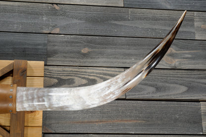 5' 0" Longhorn Wall Mount #363