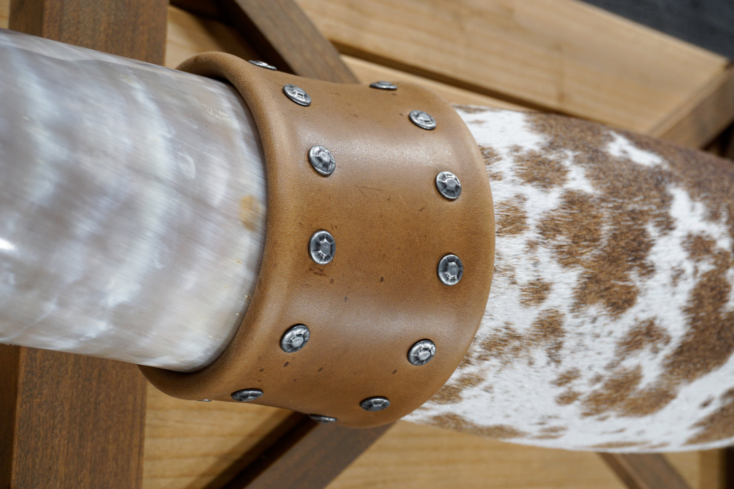 5' 0" Longhorn Wall Mount #363
