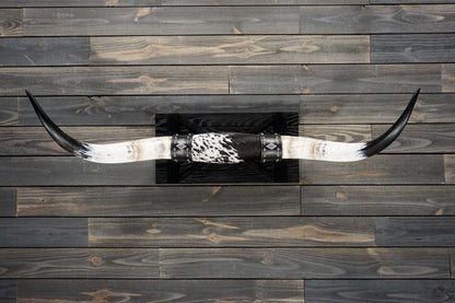 4' 2" Longhorn Wall Mount #251