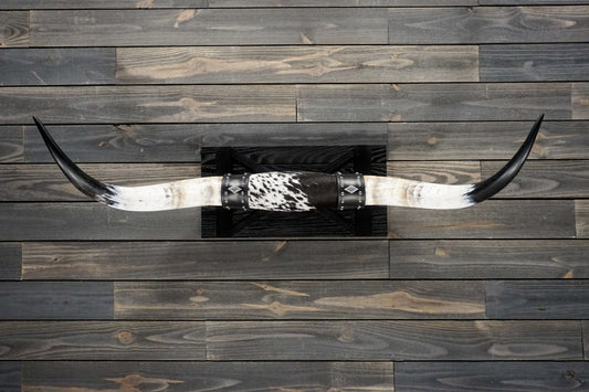 4' 2" Longhorn Wall Mount #251